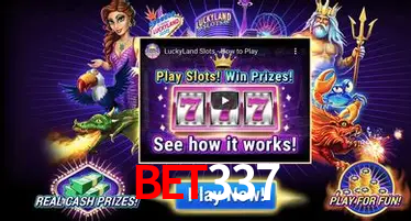 A Experiência Imersiva dos Cassinos Ao Vivo no bet337
